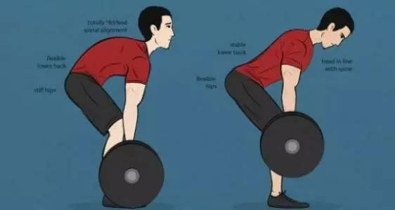 芒果体育2个健身王牌动作：减脂又能练肌肉(图2)