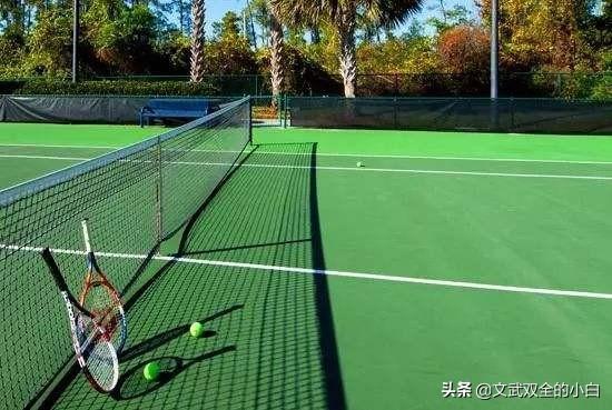芒果体育网球、羽毛球、乒乓球三种小球运动难度怎么比较？哪个更好玩？(图9)