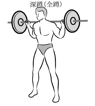 学习经典动作健身不走弯路了解锻炼目标肌肉正确训练方法芒果体育(图3)