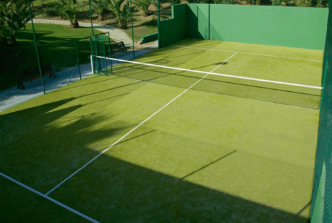 芒果体育体育运动项目介绍——笼式网球(图2)