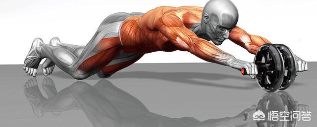 芒果体育腹肌轮可以有效的提高核心力量吗？(图2)