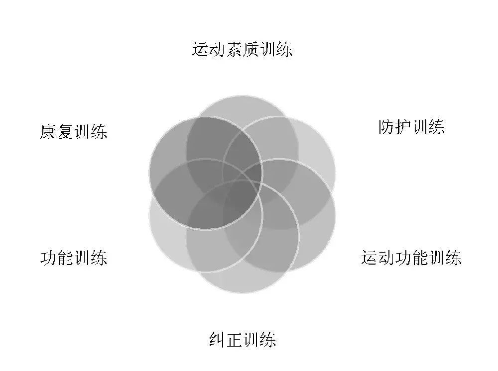 芒果体育【体育健康】中国体能训练的反思(图5)