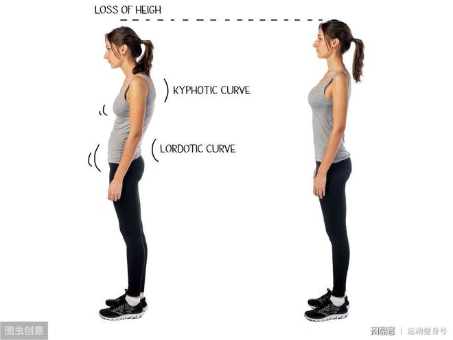 金博体育7个拉伸动作改善驼背助你气质提升！(图4)