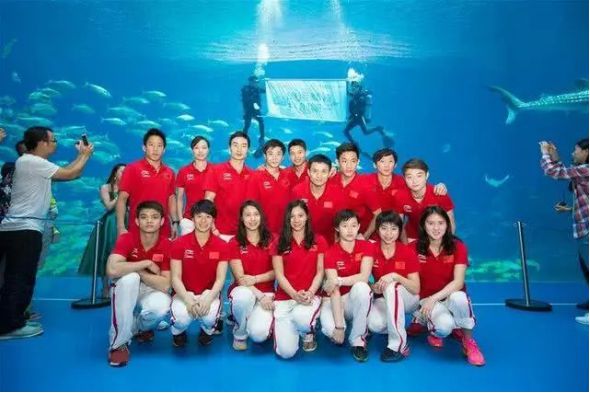 中国让国外惧怕的8大体育项目：王牌跳水只能排第二第一很神秘金博体育(图7)
