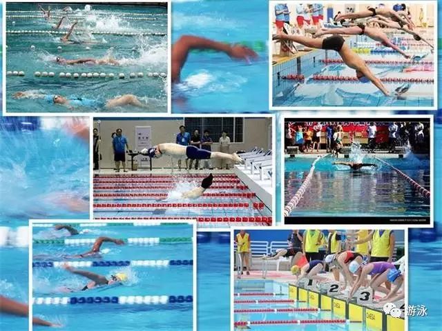 游泳运动的金博体育分类都有哪些呢？(图4)